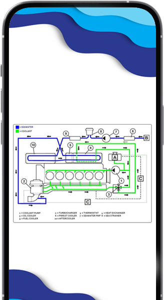 SCENARIO 5 D PHONE